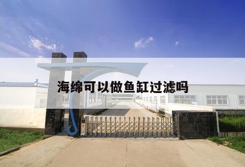 海綿可以做魚缸過濾嗎