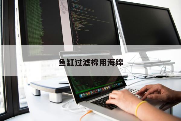 魚缸過濾棉用海綿