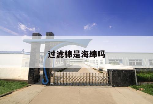 過濾棉是海綿嗎